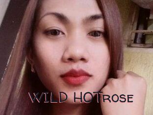 WILD_HOTrose