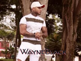 WayneBlack