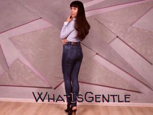 WhatIsGentle
