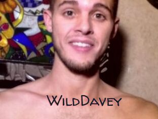 WildDavey