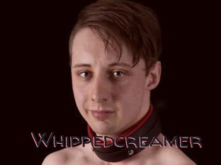 Whippedcreamer