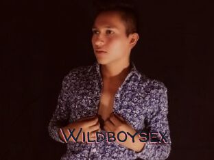 Wildboysex
