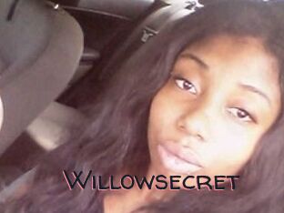 Willow_secret