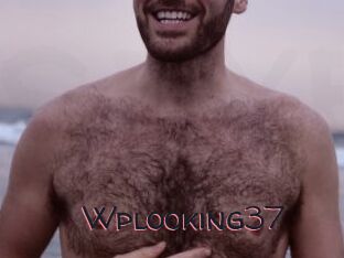 Wplooking37