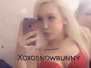 Xoxosnowbunny