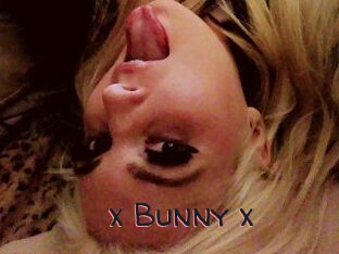 _x_Bunny_x_