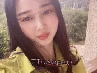 ZIbaobao