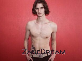 ZaneDream