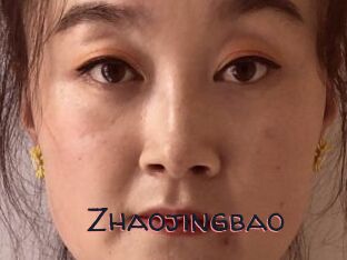 Zhaojingbao