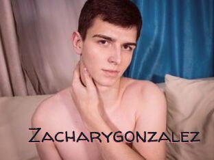 Zacharygonzalez