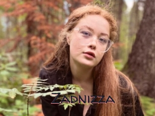 Zadnizza