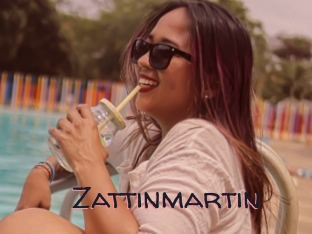 Zattinmartin
